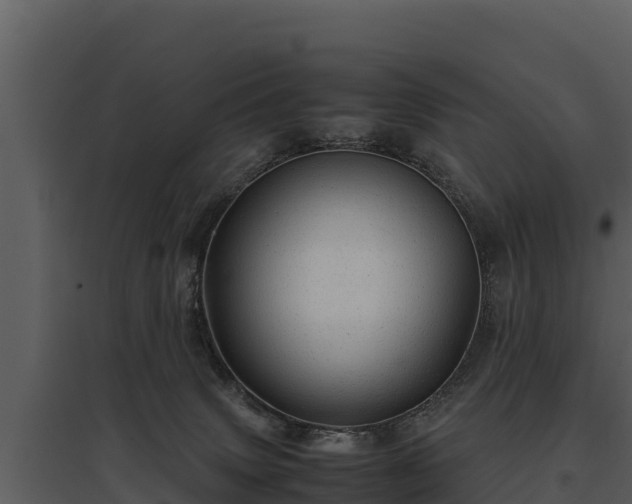 X0000095690083200801151158