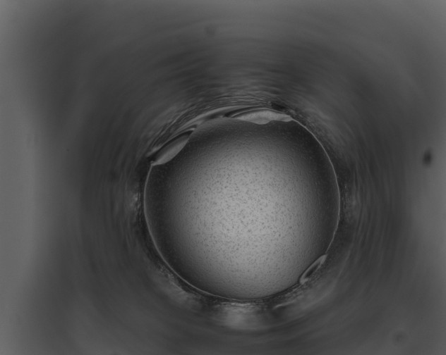 X0000095690085200801151158