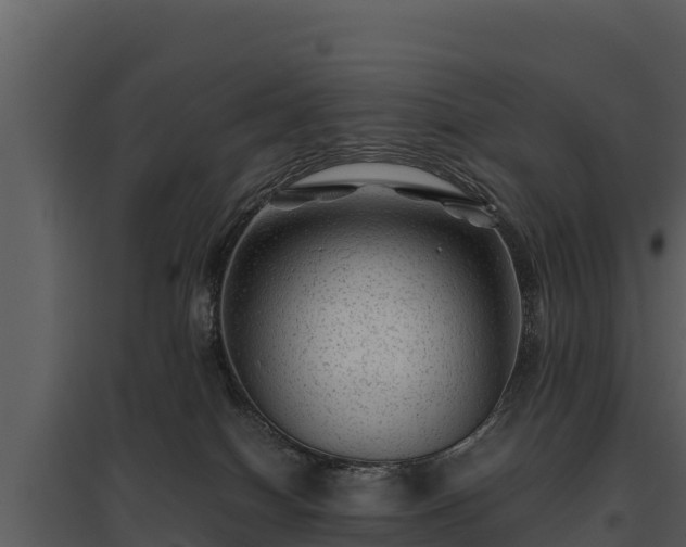 X0000095690086200801151158