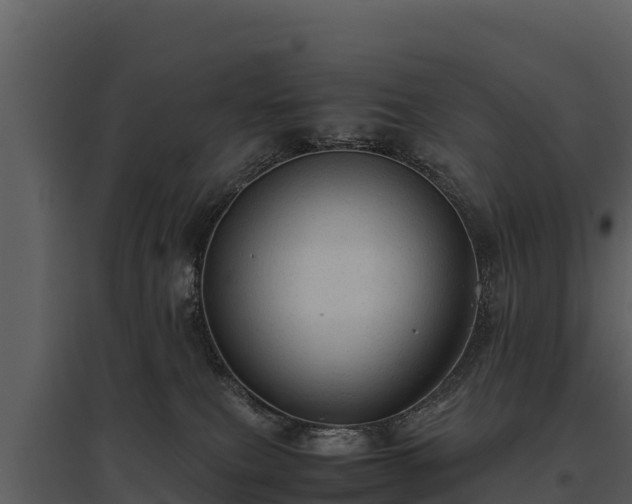 X0000095690087200801151158