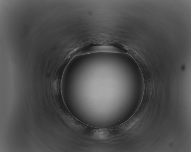 X0000095690088200801151158