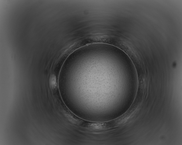 X0000095690089200801151158