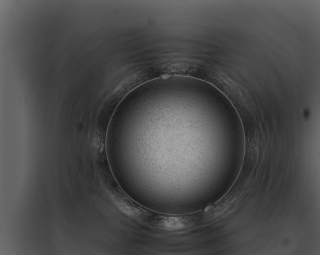 X0000095690091200801151158