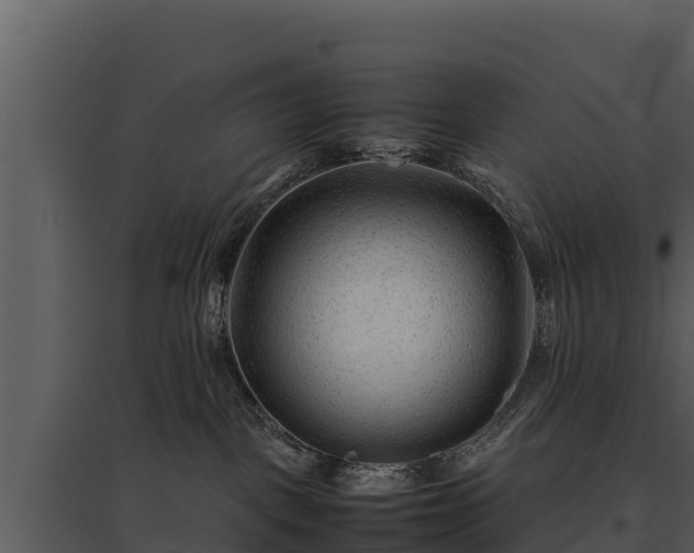 X0000095690093200801151158