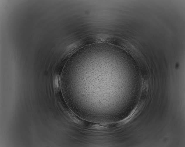 X0000095690094200801151158