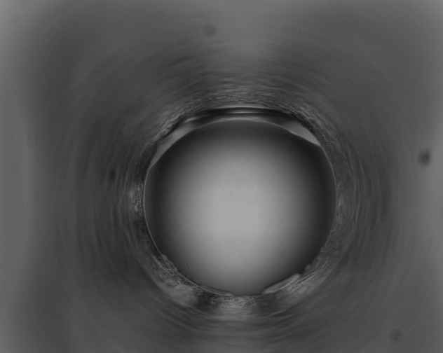 X0000095690096200801151158