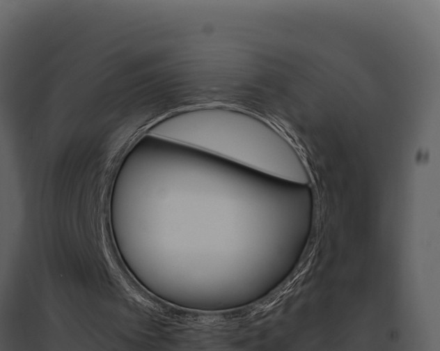 X0000095690097200801151158