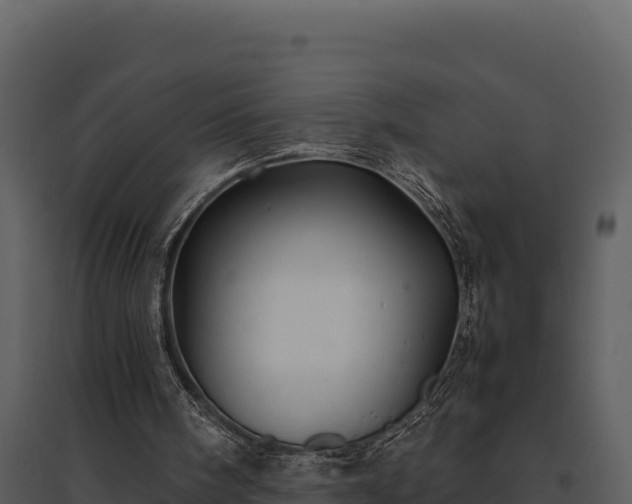 X0000095690098200801151158