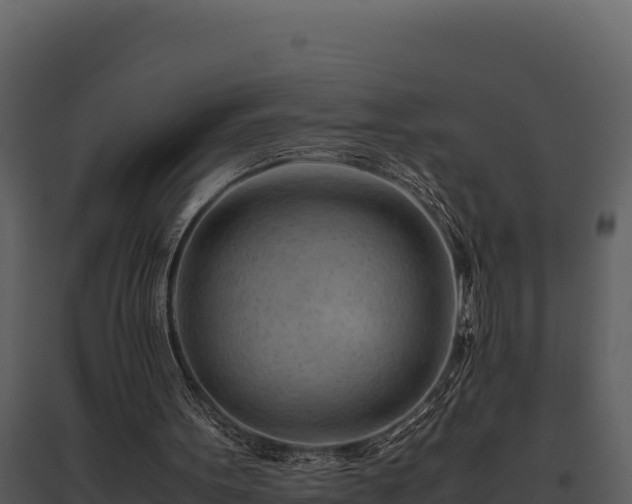 X0000095690099200801151158