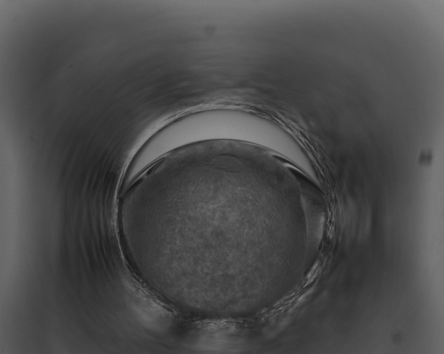 X0000095690100200801151158