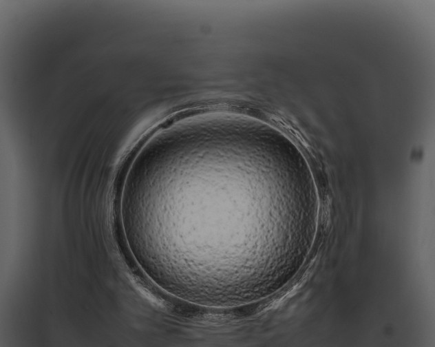 X0000095690101200801151158