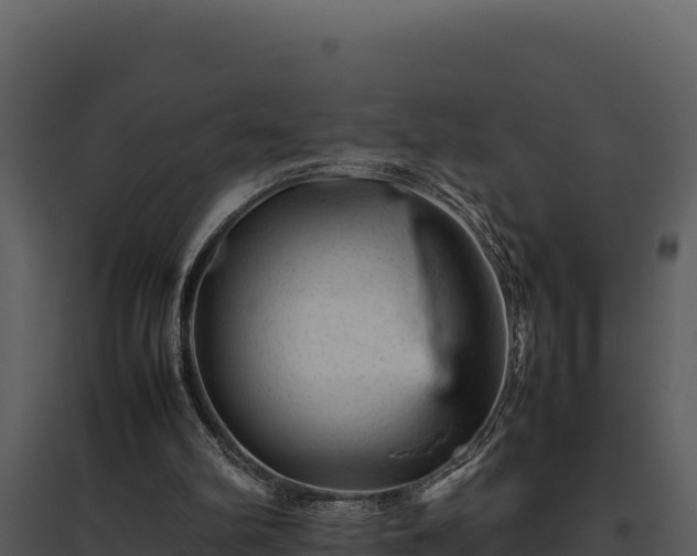 X0000095690102200801151158