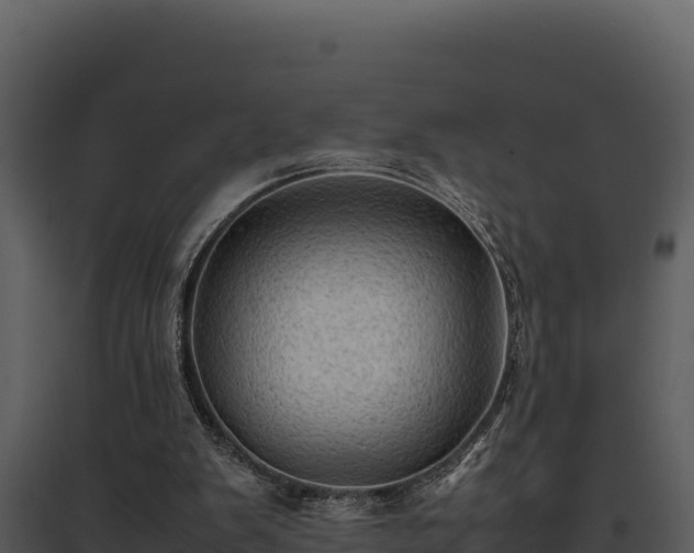 X0000095690103200801151158