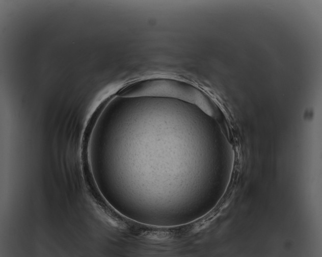 X0000095690104200801151158