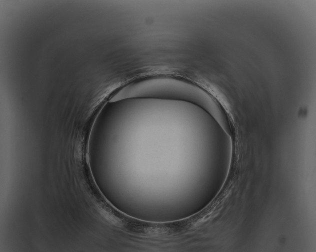 X0000095690105200801151158