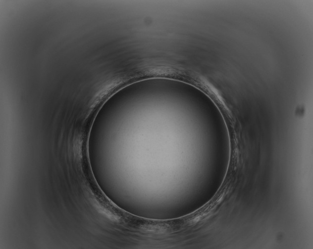 X0000095690106200801151158