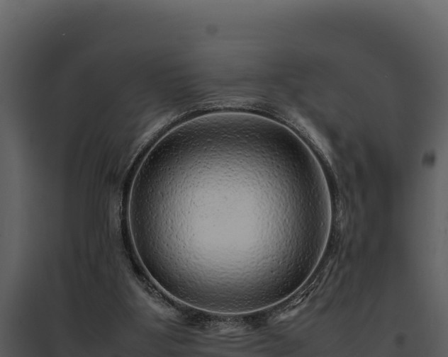 X0000095690107200801151158