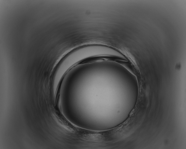 X0000095690108200801151158