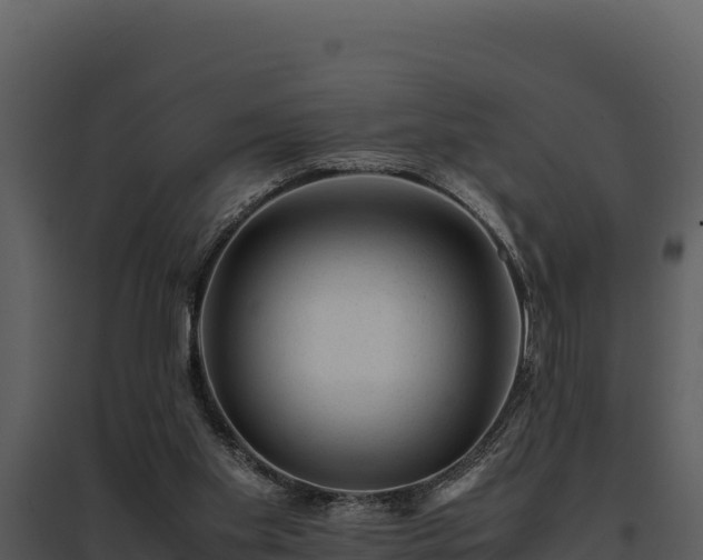 X0000095690109200801151158