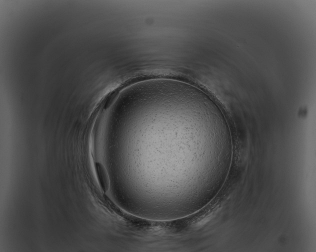 X0000095690111200801151158