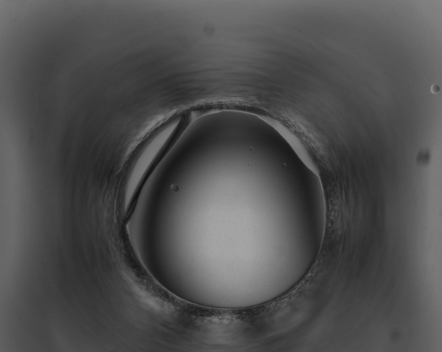 X0000095690112200801151158