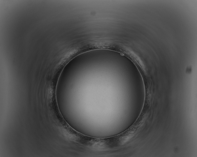 X0000095690113200801151158