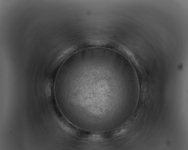 X0000095690114200801151157