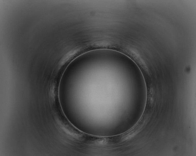 X0000095690116200801151157