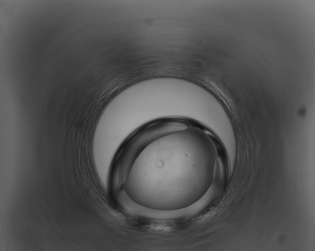 X0000095690117200801151157