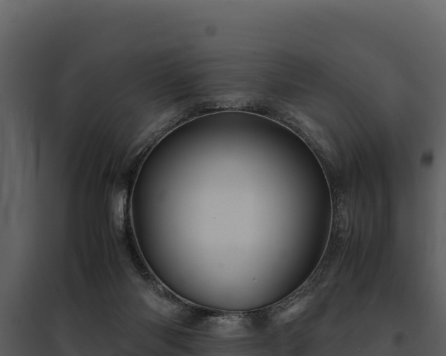 X0000095690118200801151157