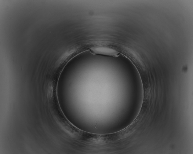 X0000095690120200801151157