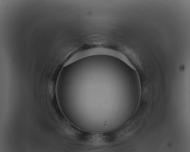 X0000095690121200801151157