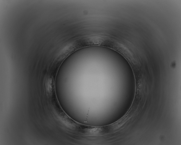 X0000095690122200801151157