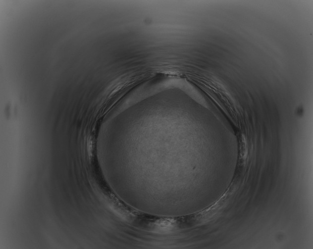 X0000095690124200801151157