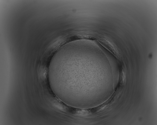 X0000095690125200801151157