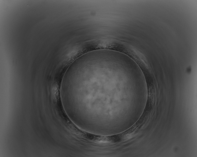 X0000095690127200801151157