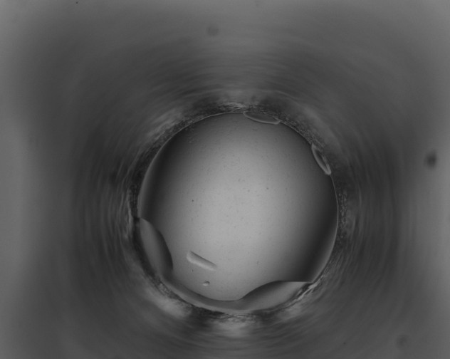 X0000095690128200801151157