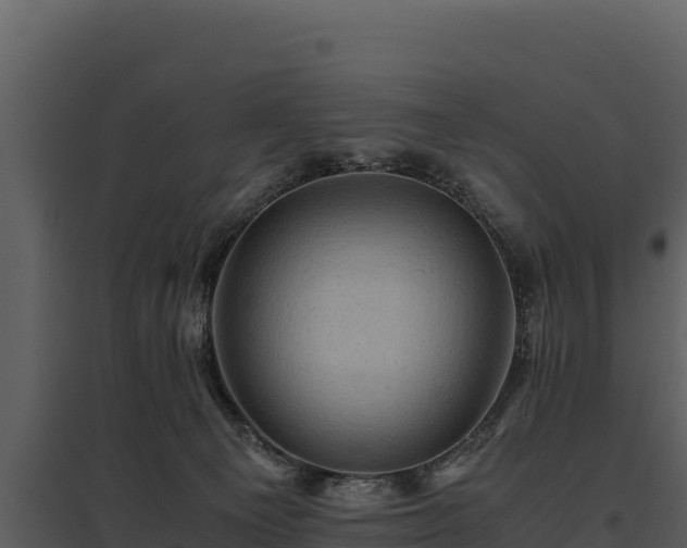 X0000095690129200801151157