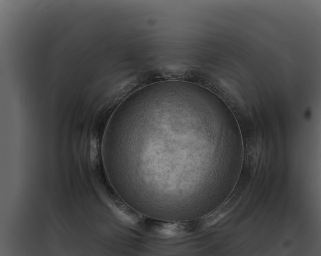 X0000095690130200801151157