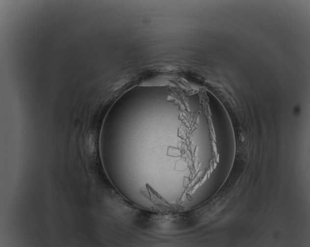 X0000095690131200801151157