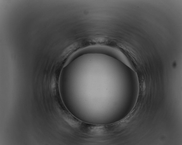 X0000095690132200801151157