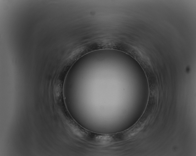 X0000095690133200801151157