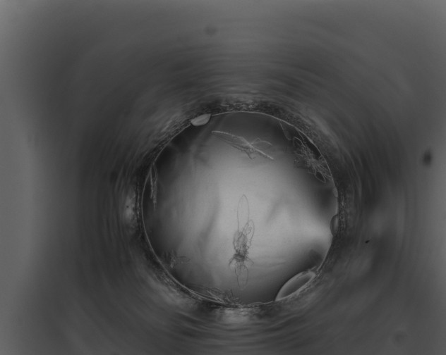 X0000095690134200801151157