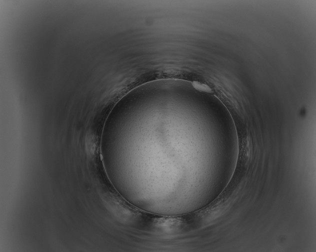 X0000095690135200801151157