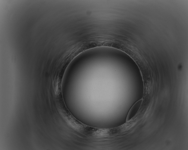 X0000095690138200801151157