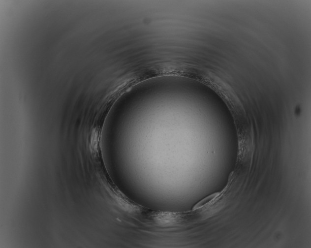 X0000095690142200801151157