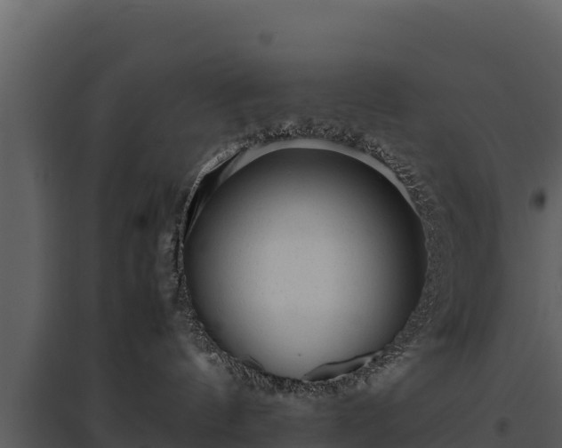 X0000095690144200801151157