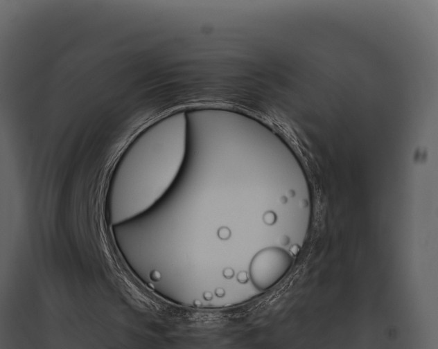 X0000095690145200801151156