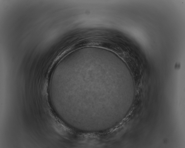 X0000095690146200801151156