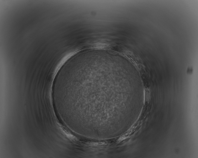 X0000095690147200801151156